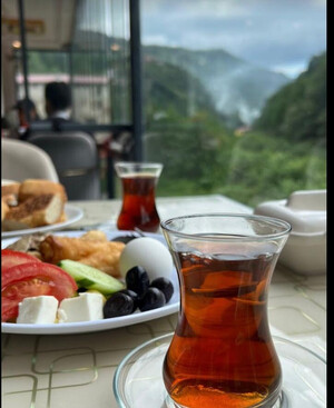Bungalov Berrak Dere Evleri